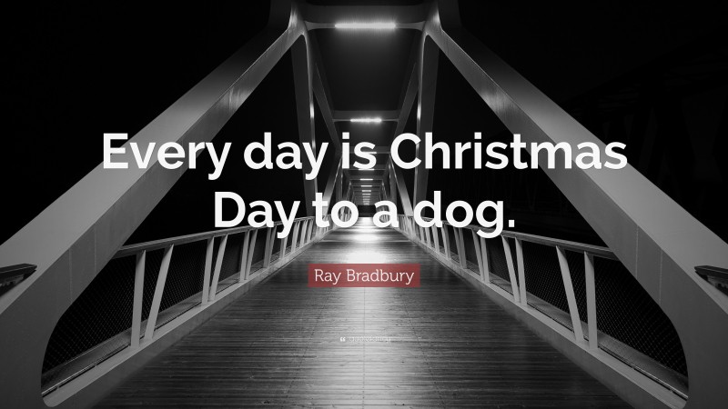Ray Bradbury Quote: “Every day is Christmas Day to a dog.”