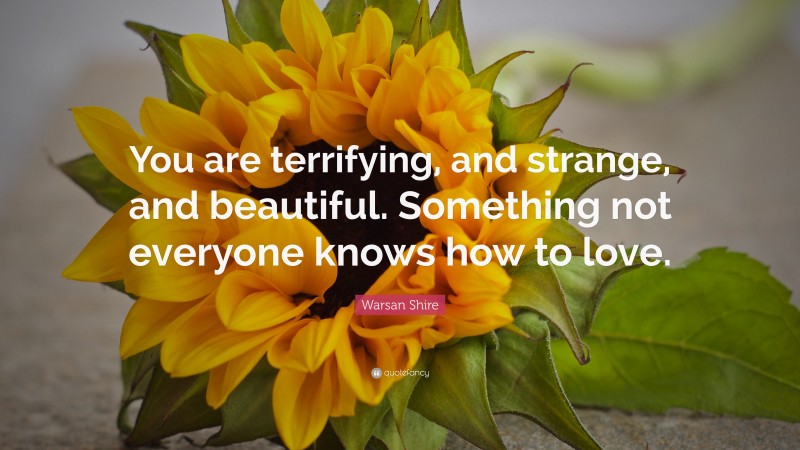 Warsan Shire Quote: “You are terrifying, and strange, and beautiful. Something not everyone knows how to love.”