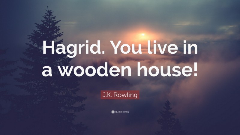 J.K. Rowling Quote: “Hagrid. You live in a wooden house!”