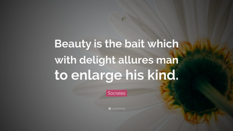 Socrates Quote: “Beauty is the bait which with delight allures man to enlarge his kind.”