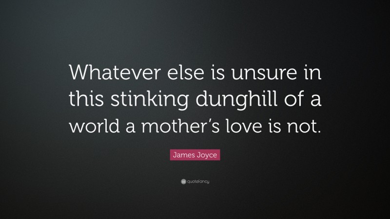James Joyce Quote: “Whatever else is unsure in this stinking dunghill of a world a mother’s love is not.”