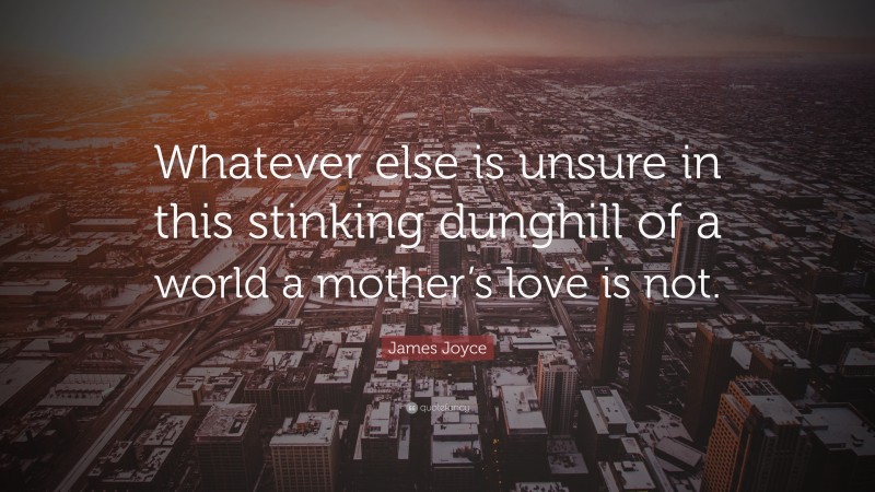 James Joyce Quote: “Whatever else is unsure in this stinking dunghill of a world a mother’s love is not.”