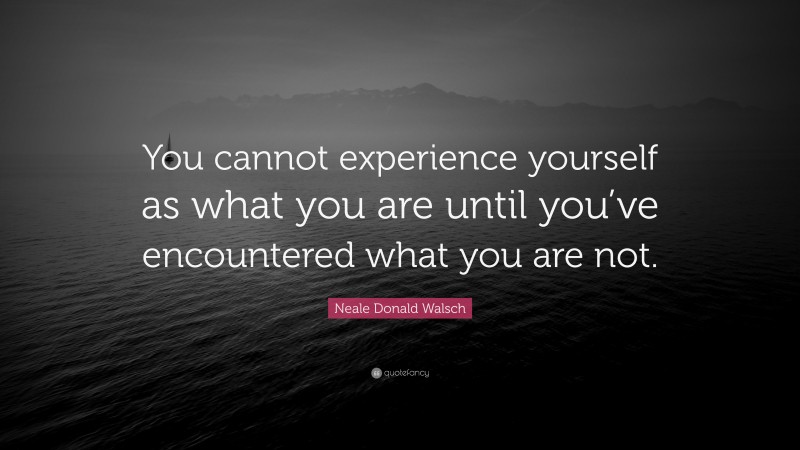 Neale Donald Walsch Quote: “You cannot experience yourself as what you are until you’ve encountered what you are not.”