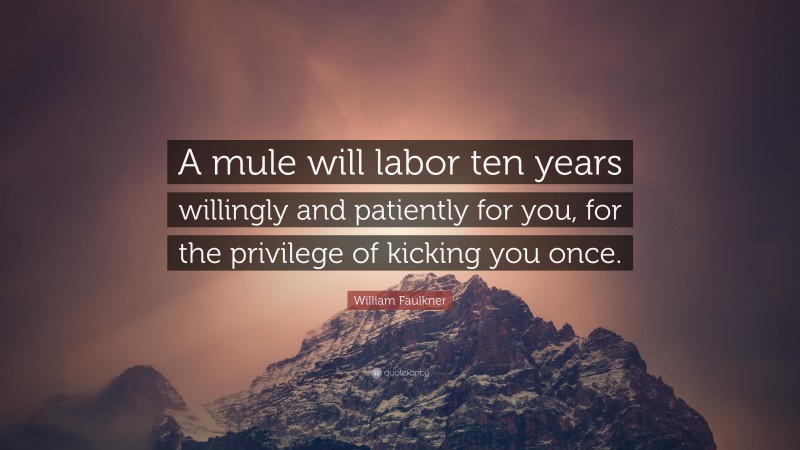 William Faulkner Quote: “A mule will labor ten years willingly and patiently for you, for the privilege of kicking you once.”