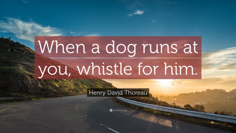 Henry David Thoreau Quote: “When a dog runs at you, whistle for him.”