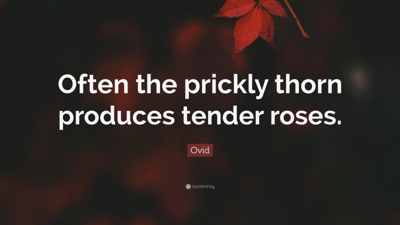 Ovid Quote: “Often the prickly thorn produces tender roses.”