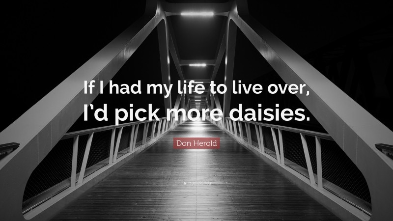 Don Herold Quote: “If I had my life to live over, I’d pick more daisies.”