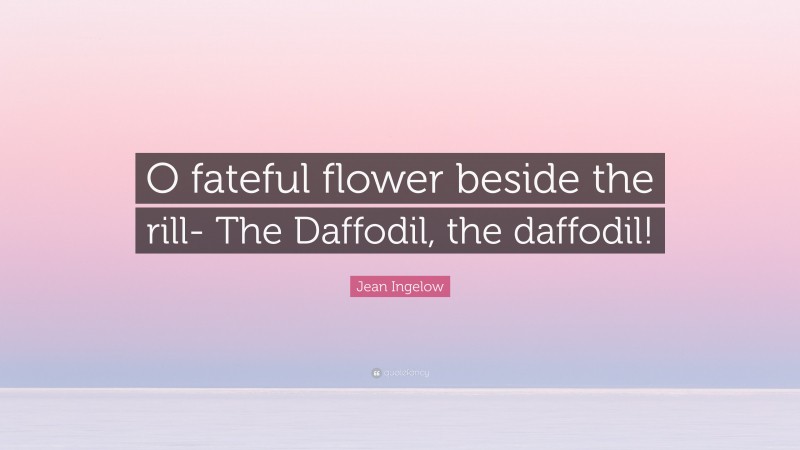 Jean Ingelow Quote: “O fateful flower beside the rill- The Daffodil, the daffodil!”