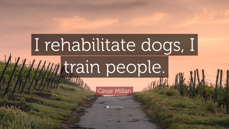 Cesar Millan Quote: “I rehabilitate dogs, I train people.”