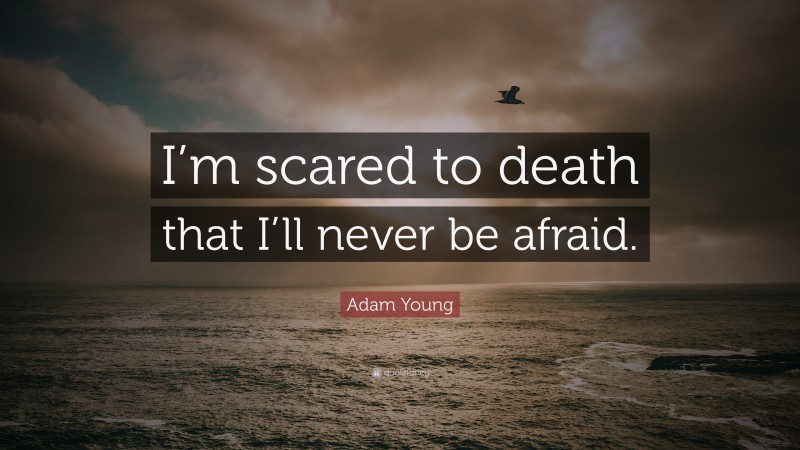 Adam Young Quote: “I’m scared to death that I’ll never be afraid.”