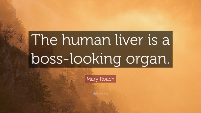 Mary Roach Quote: “The human liver is a boss-looking organ.”
