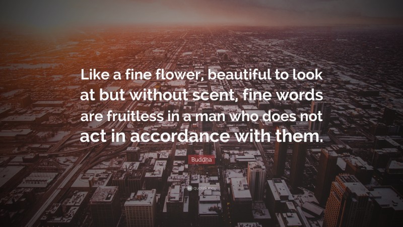 Buddha Quote: “Like a fine flower, beautiful to look at but without scent, fine words are fruitless in a man who does not act in accordance with them.”