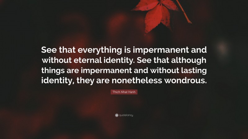 Thich Nhat Hanh Quote: “See that everything is impermanent and without eternal identity. See that although things are impermanent and without lasting identity, they are nonetheless wondrous.”