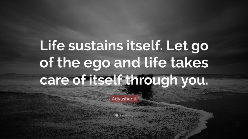 Adyashanti Quote: “Life sustains itself. Let go of the ego and life takes care of itself through you.”