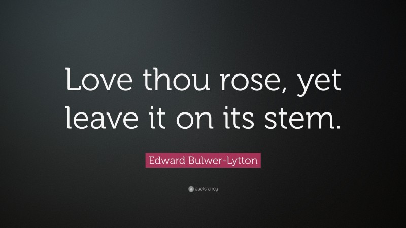 Edward Bulwer-Lytton Quote: “Love thou rose, yet leave it on its stem.”