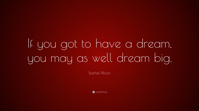 Rachel Bilson Quote: “If you got to have a dream, you may as well dream big.”