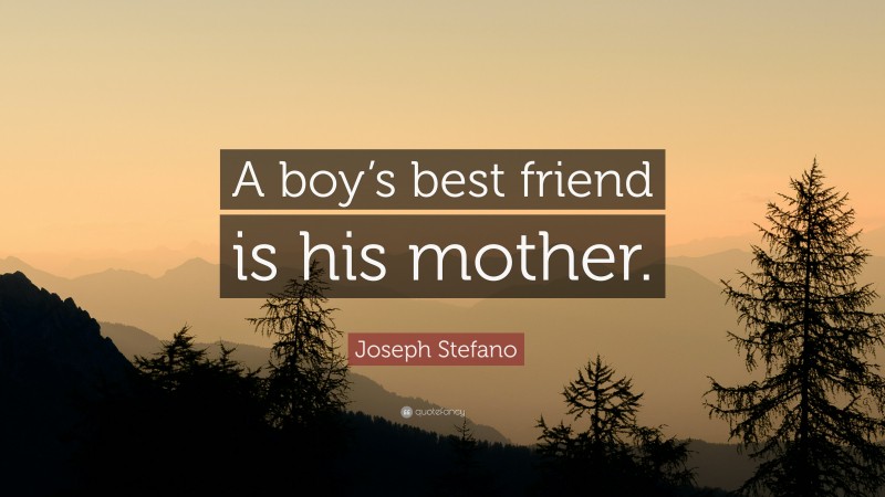 Joseph Stefano Quote: “A boy’s best friend is his mother.”