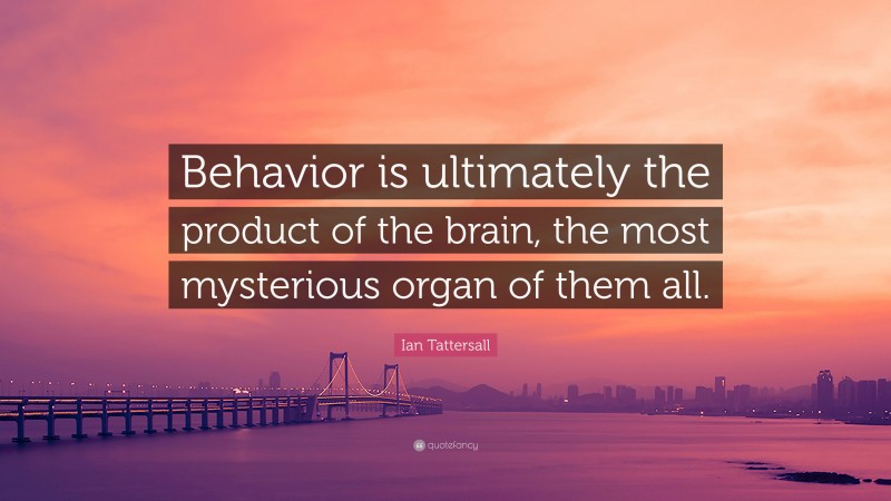 Ian Tattersall Quote: “Behavior is ultimately the product of the brain, the most mysterious organ of them all.”