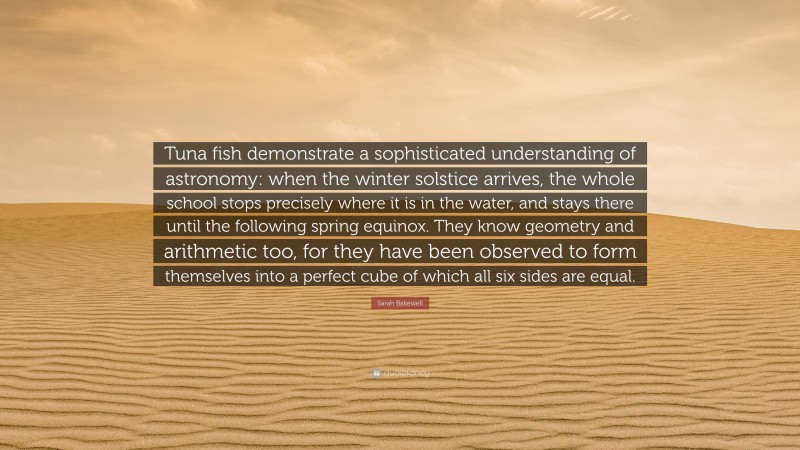 Sarah Bakewell Quote: “Tuna fish demonstrate a sophisticated understanding of astronomy: when the winter solstice arrives, the whole school stops precisely where it is in the water, and stays there until the following spring equinox. They know geometry and arithmetic too, for they have been observed to form themselves into a perfect cube of which all six sides are equal.”