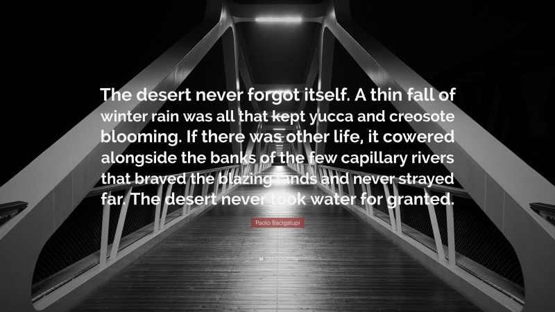 Paolo Bacigalupi Quote: “The desert never forgot itself. A thin fall of winter rain was all that kept yucca and creosote blooming. If there was other life, it cowered alongside the banks of the few capillary rivers that braved the blazing lands and never strayed far. The desert never took water for granted.”