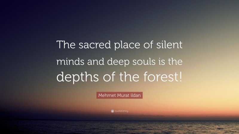 Mehmet Murat ildan Quote: “The sacred place of silent minds and deep souls is the depths of the forest!”