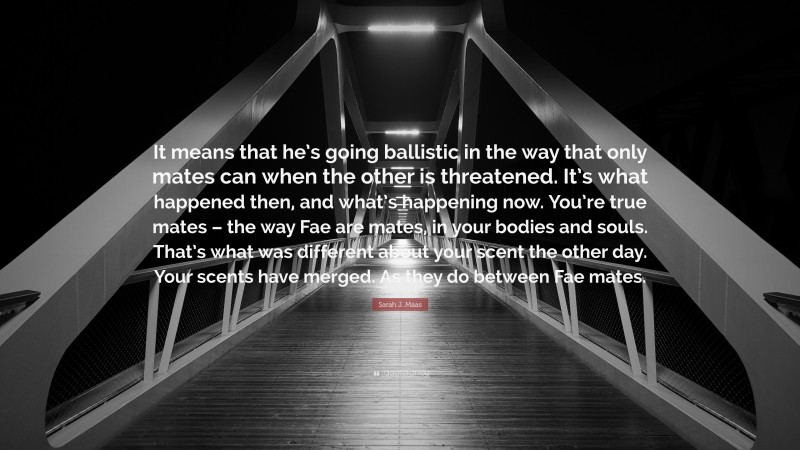 Sarah J. Maas Quote: “It means that he’s going ballistic in the way that only mates can when the other is threatened. It’s what happened then, and what’s happening now. You’re true mates – the way Fae are mates, in your bodies and souls. That’s what was different about your scent the other day. Your scents have merged. As they do between Fae mates.”
