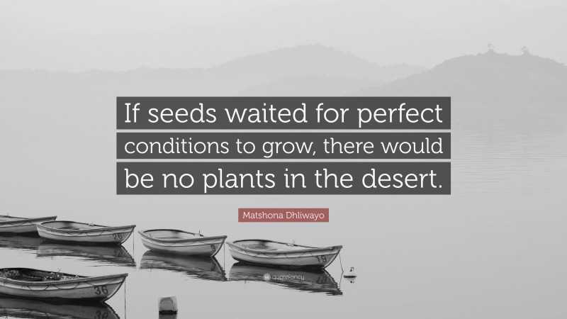 Matshona Dhliwayo Quote: “If seeds waited for perfect conditions to grow, there would be no plants in the desert.”