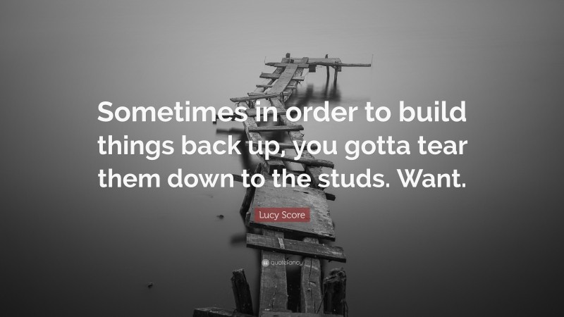 Lucy Score Quote: “Sometimes in order to build things back up, you gotta tear them down to the studs. Want.”