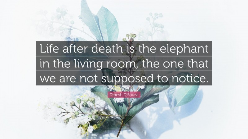 Dinesh D'Souza Quote: “Life after death is the elephant in the living room, the one that we are not supposed to notice.”
