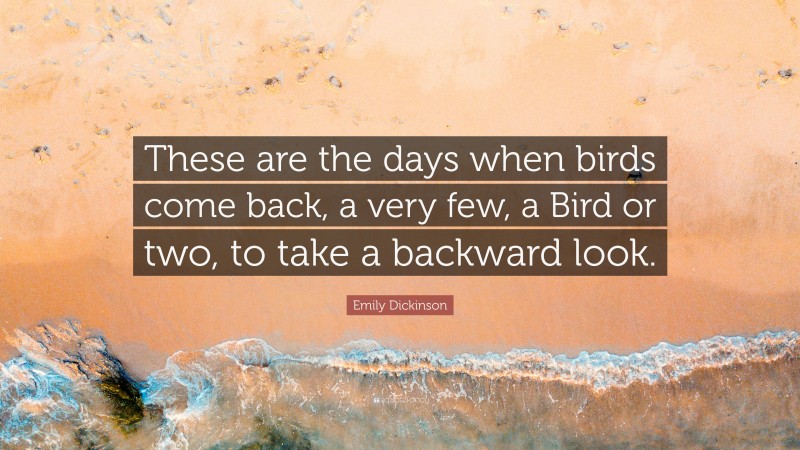 Emily Dickinson Quote: “These are the days when birds come back, a very few, a Bird or two, to take a backward look.”