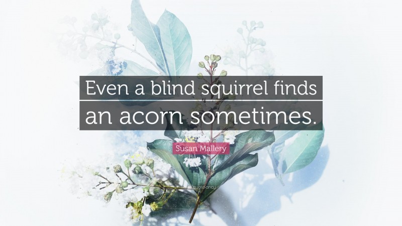 Susan Mallery Quote: “Even a blind squirrel finds an acorn sometimes.”
