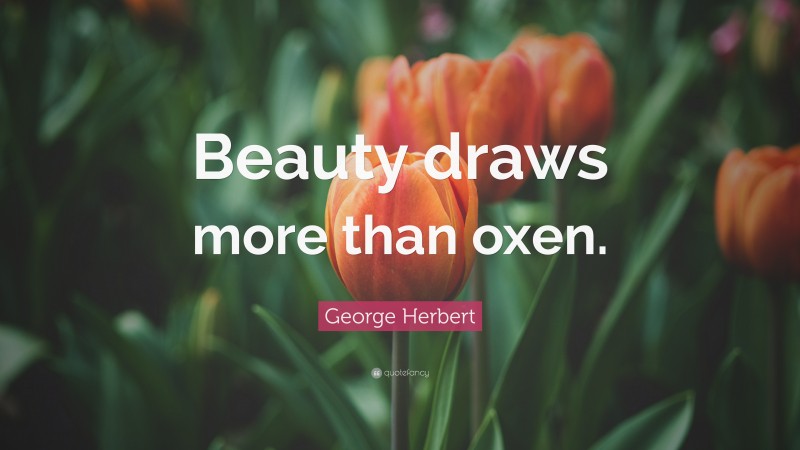 George Herbert Quote: “Beauty draws more than oxen.”