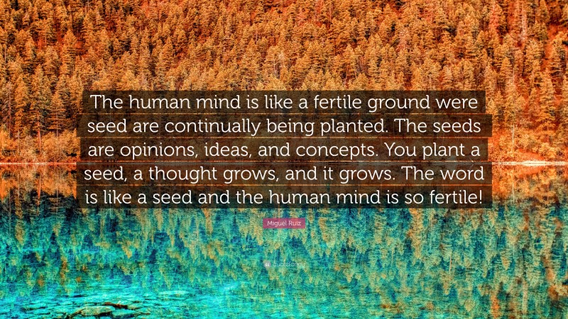 Miguel Ruiz Quote: “The human mind is like a fertile ground were seed are continually being planted. The seeds are opinions, ideas, and concepts. You plant a seed, a thought grows, and it grows. The word is like a seed and the human mind is so fertile!”