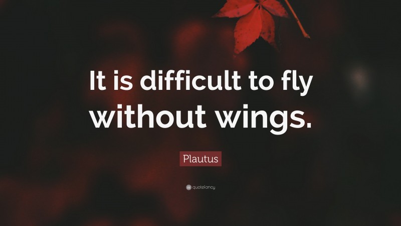 Plautus Quote: “It is difficult to fly without wings.”