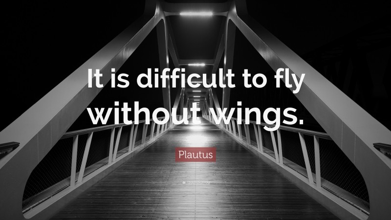 Plautus Quote: “It is difficult to fly without wings.”