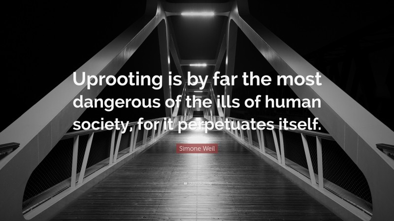 Simone Weil Quote: “Uprooting is by far the most dangerous of the ills of human society, for it perpetuates itself.”