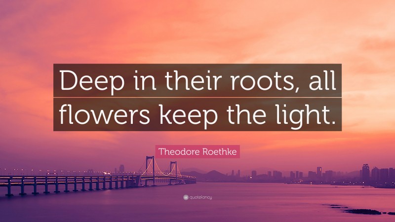 Theodore Roethke Quote: “Deep in their roots, all flowers keep the light.”