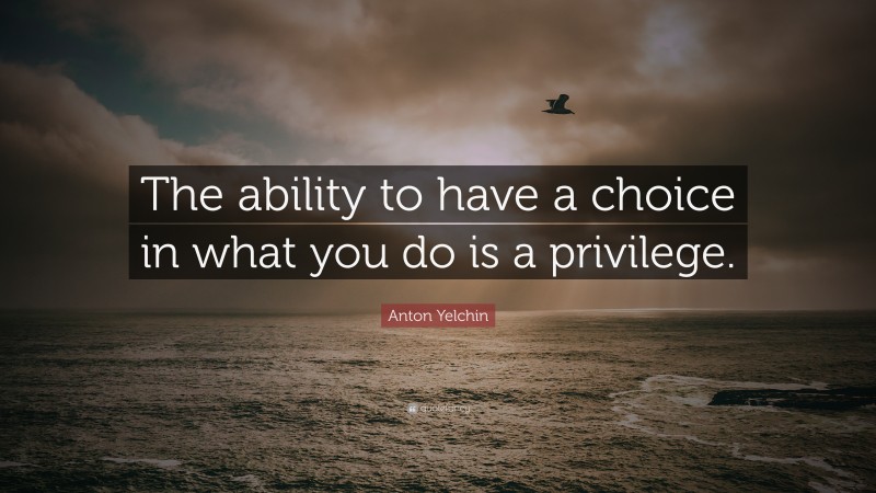 Anton Yelchin Quote: “The ability to have a choice in what you do is a privilege.”