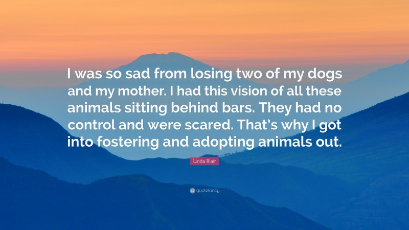 Linda Blair Quote: “I was so sad from losing two of my dogs and my mother. I had this vision of all these animals sitting behind bars. They had no control and were scared. That’s why I got into fostering and adopting animals out.”