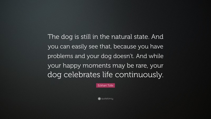 Eckhart Tolle Quote: “The dog is still in the natural state. And you can easily see that, because you have problems and your dog doesn’t. And while your happy moments may be rare, your dog celebrates life continuously.”