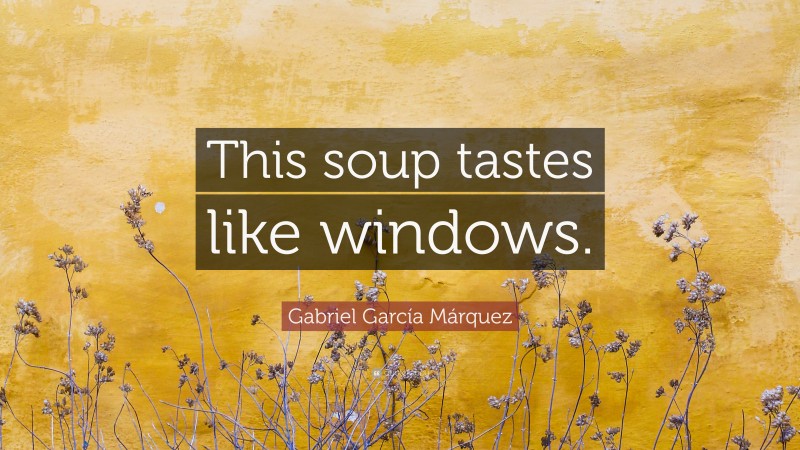 Gabriel Garcí­a Márquez Quote: “This soup tastes like windows.”