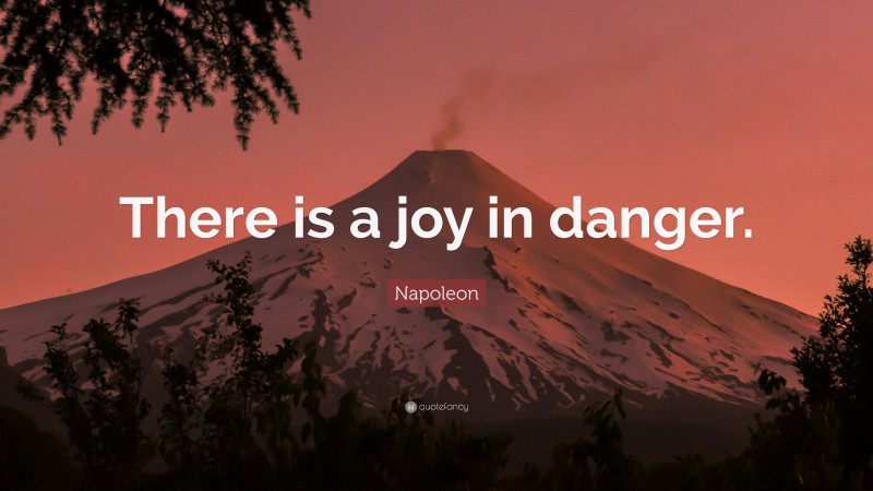 Napoleon Quote: “There is a joy in danger.”