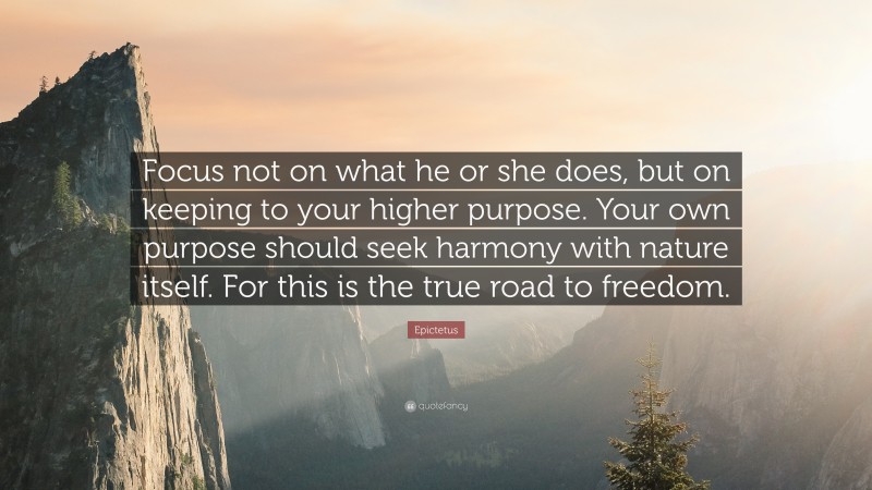 Epictetus Quote: “Focus not on what he or she does, but on keeping to your higher purpose. Your own purpose should seek harmony with nature itself. For this is the true road to freedom.”