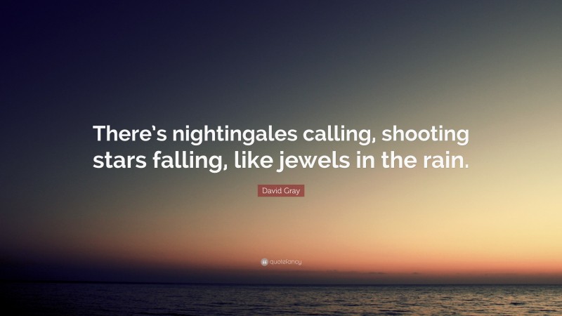 David Gray Quote: “There’s nightingales calling, shooting stars falling, like jewels in the rain.”