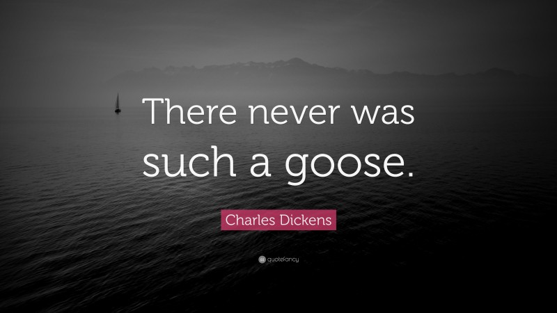 Charles Dickens Quote: “There never was such a goose.”