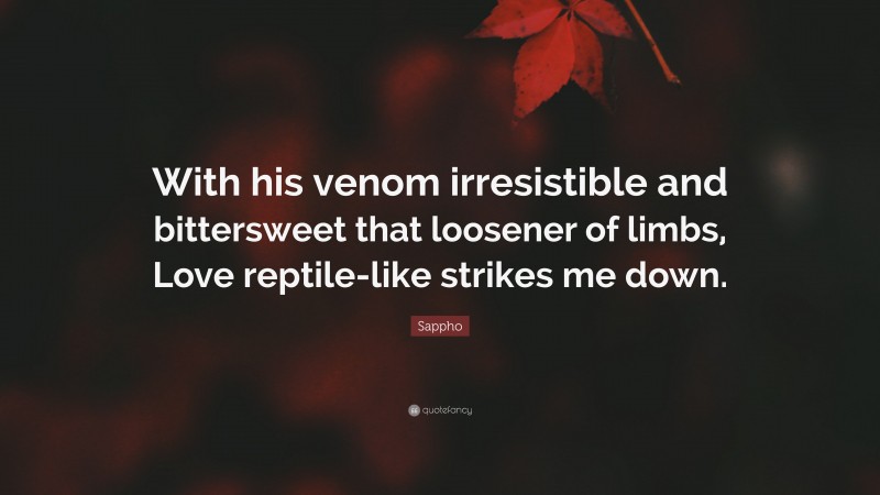 Sappho Quote: “With his venom irresistible and bittersweet that loosener of limbs, Love reptile-like strikes me down.”