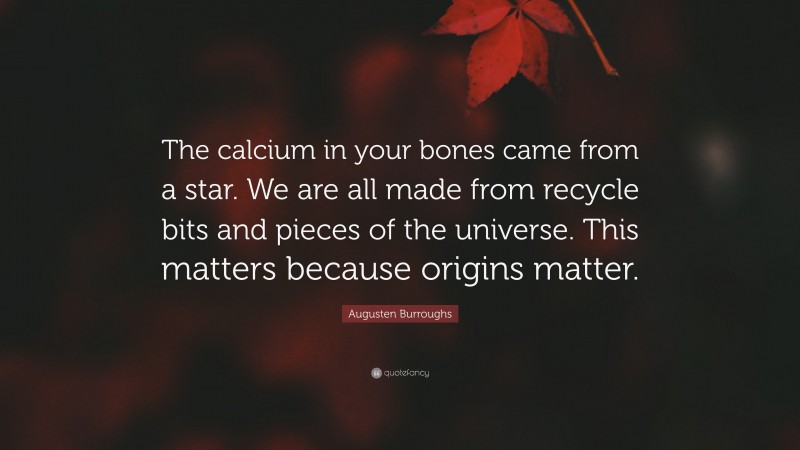 Augusten Burroughs Quote: “The calcium in your bones came from a star. We are all made from recycle bits and pieces of the universe. This matters because origins matter.”