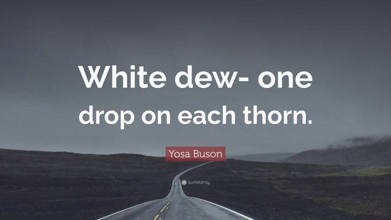 Yosa Buson Quote: “White dew- one drop on each thorn.”