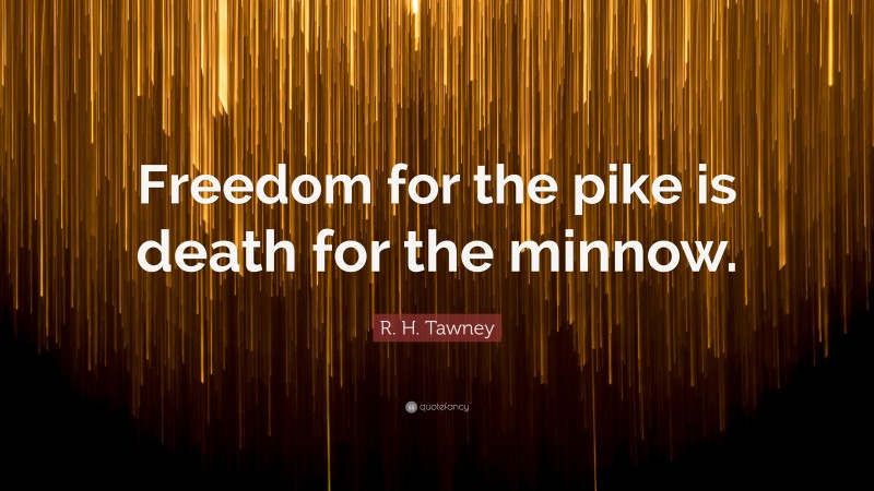 R. H. Tawney Quote: “Freedom for the pike is death for the minnow.”