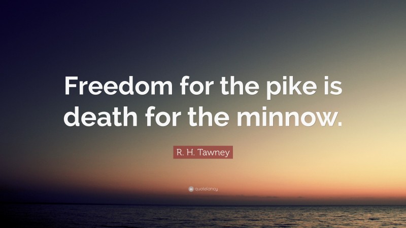 R. H. Tawney Quote: “Freedom for the pike is death for the minnow.”